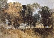 Joseph Mallord William Turner, Forest